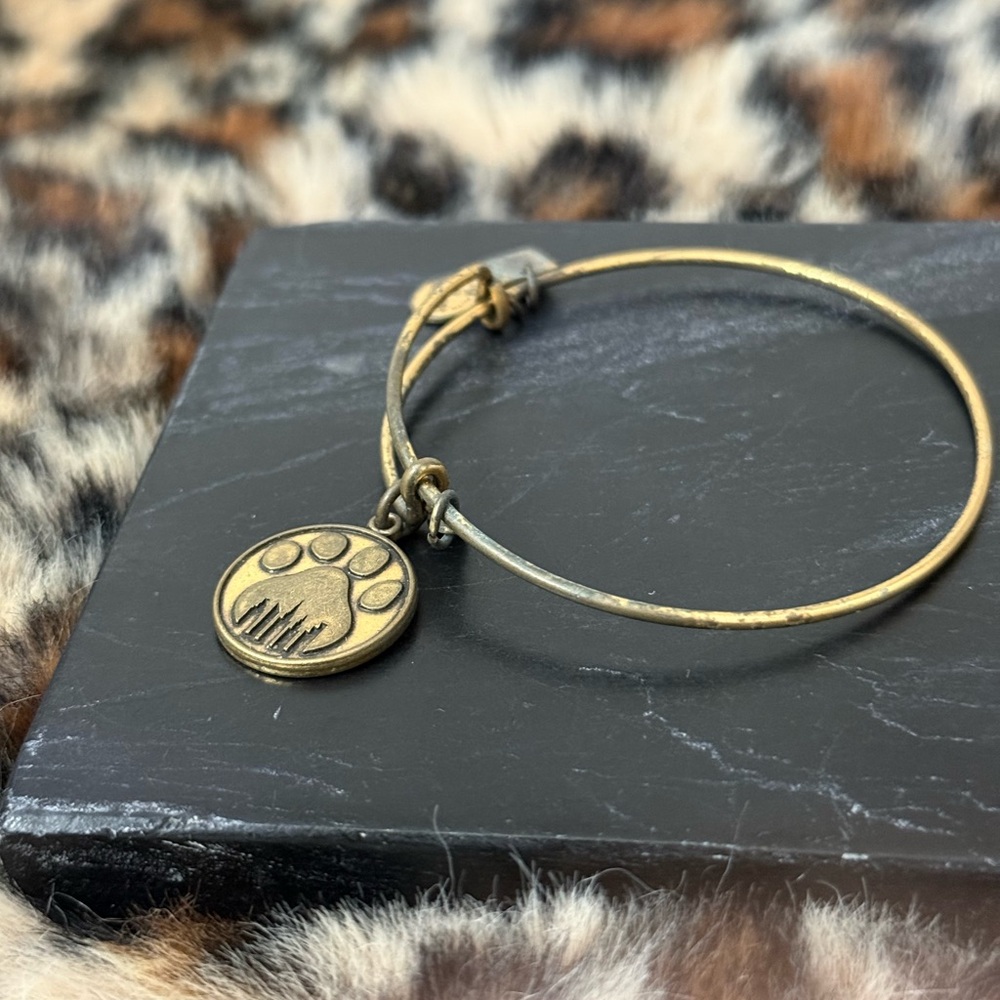 Alex & Ani Charm Bracelets Lot of 8 - 2012 2013 2015 - Picture 4 of 16